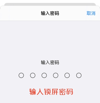 描述文件安装操作示例，第 4 步